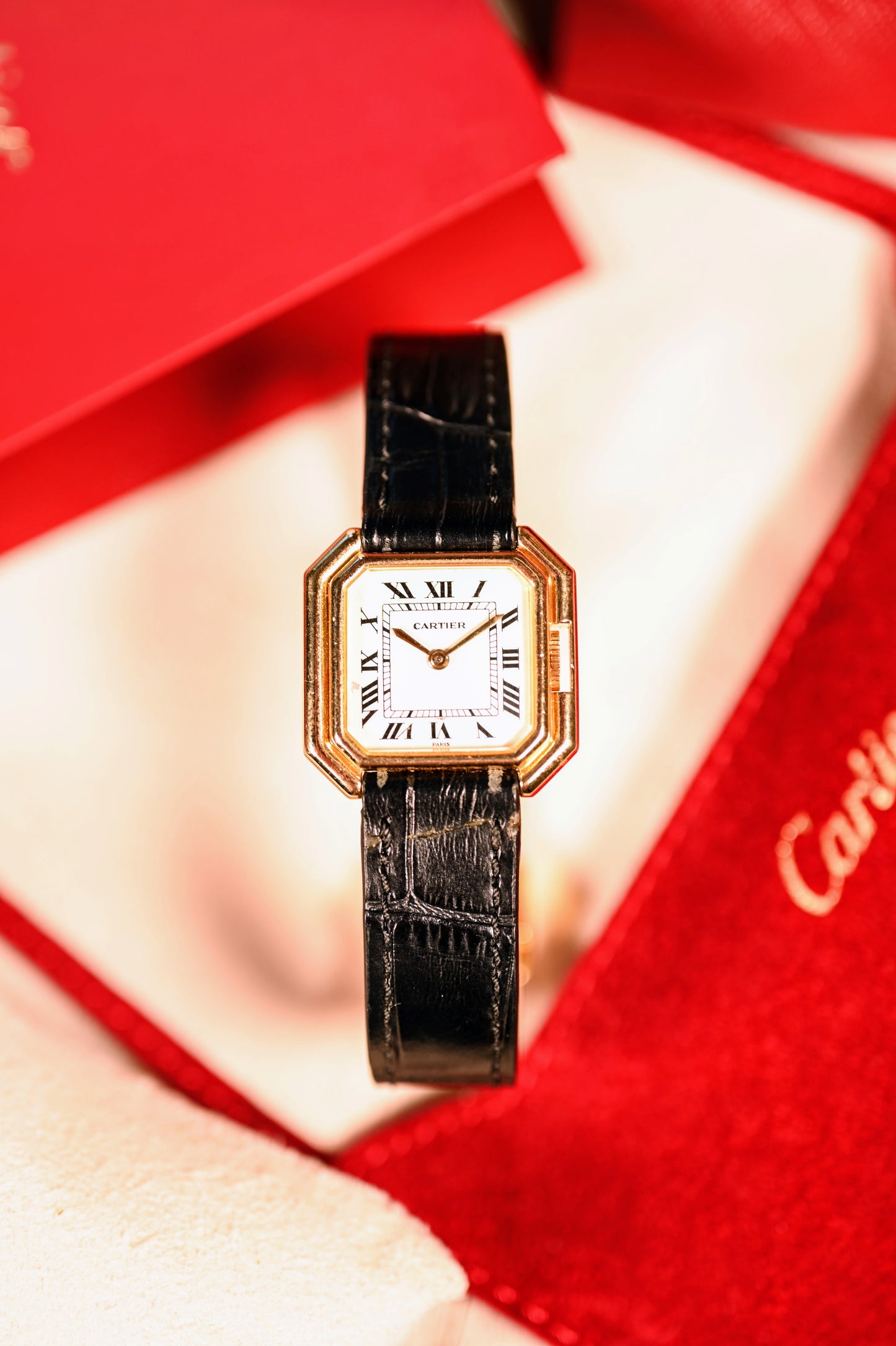 Vintage Cartier Ceinture - Serviced by Cartier