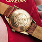 Vintage Omega Seamaster 2975 seamaster medallion hippocampus seamonster 